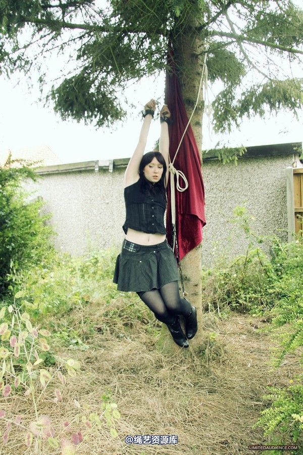 limitedaudience - 2012 syrah lee suspended 2 第 11 张图片