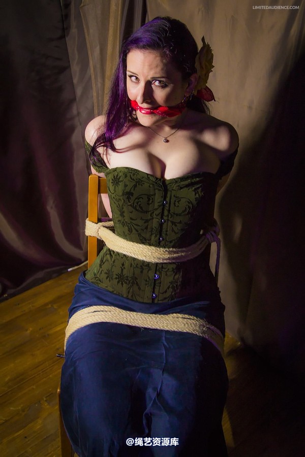 limitedaudience - 2014 caroline pierce captured damsel 2 第 18 张图片
