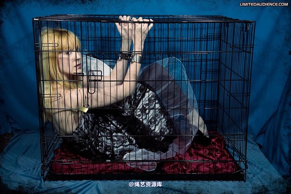 limitedaudience - 2010 ariel precious cargo 2 第 2 张图片