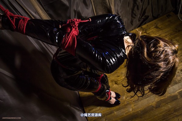 limitedaudience - 2014 trisha strict catsuit strappado 2 第 30 张图片