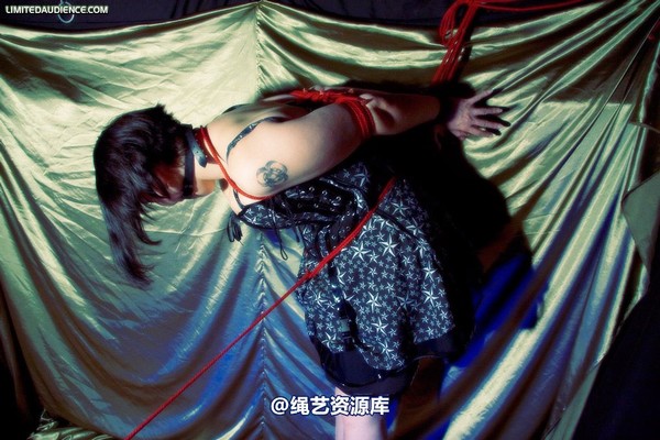 limitedaudience - 2009 deception a painful wait 2 第 16 张图片