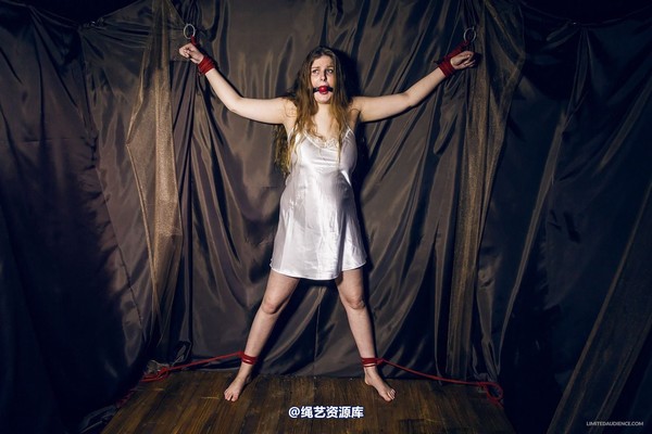 limitedaudience - 2015 alais peach spread in satin 第 3 张图片