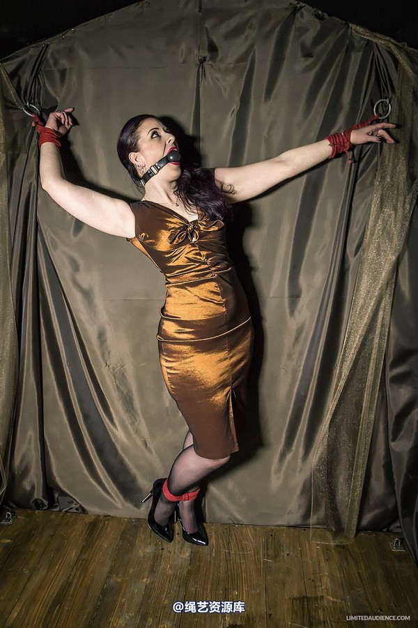 limitedaudience - 2014 caroline pierce bondage in bronze 第 17 张图片