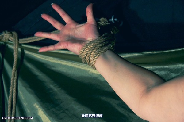 limitedaudience - 2010 deception bound tightly 2 第 15 张图片