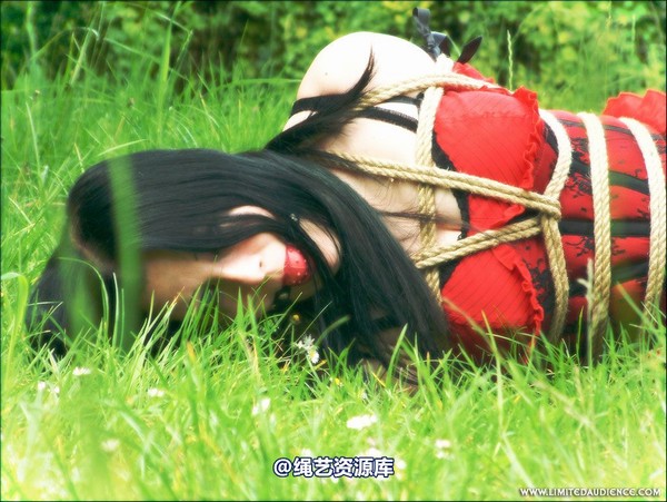 limitedaudience - 2007 asphyxia tied in red 第 30 张图片