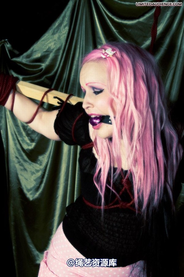 limitedaudience - 2009 assisted suicide profoundly entangled 2 第 28 张图片