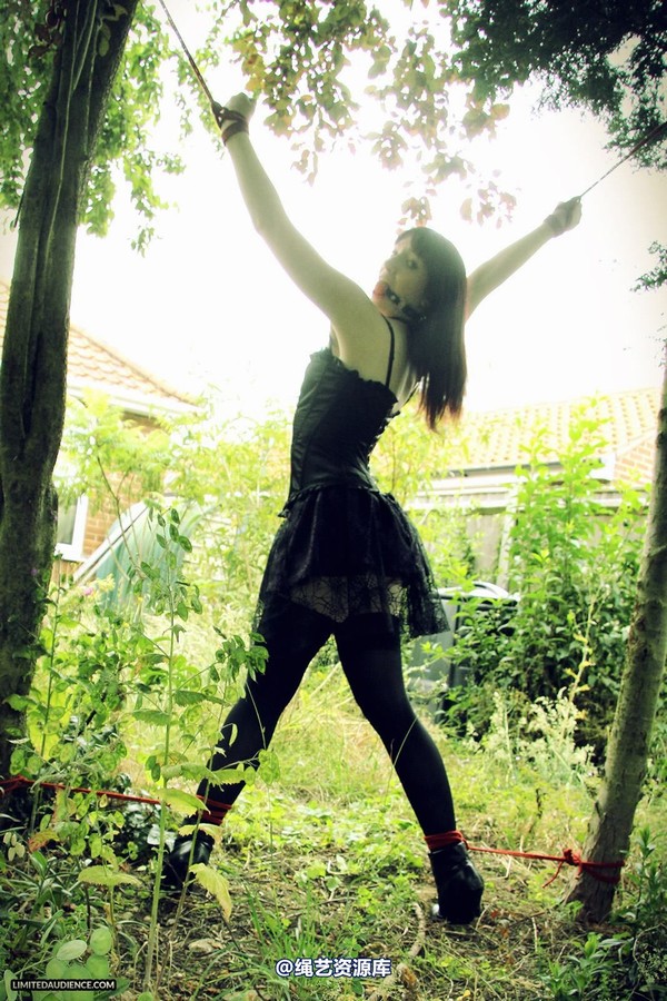 limitedaudience - 2013 syrah lee helpless outdoors 2 第 16 张图片
