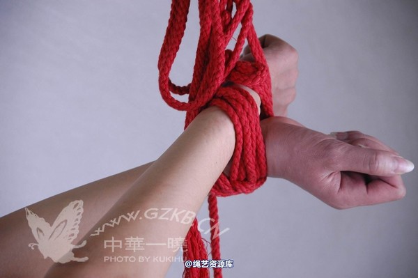 中华一晓 - 中华一晓 NO.0366 第 315 张图片