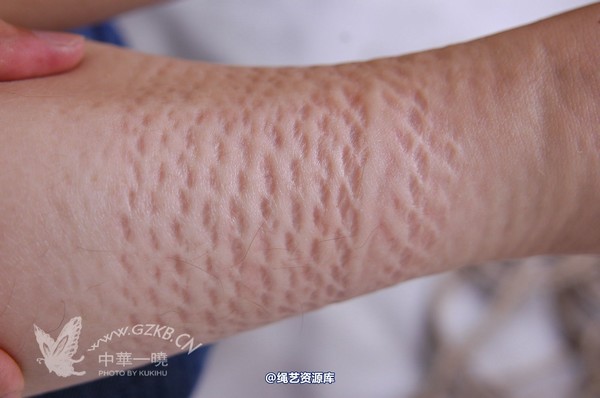 中华一晓 - 中华一晓 NO.0118 第 193 张图片