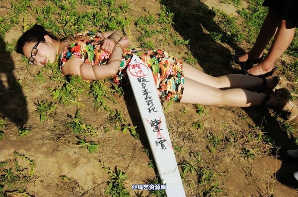 mj影视 - 紫云的末日紫云2-2013-05-23 第 255 张图片