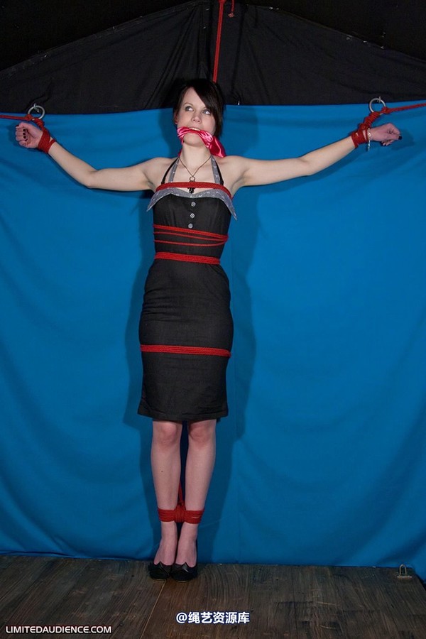 limitedaudience - 2010 luisa tied to the wall 第 12 张图片