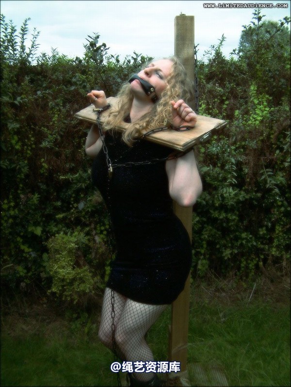 limitedaudience - 2007 ivy still on public display 第 24 张图片