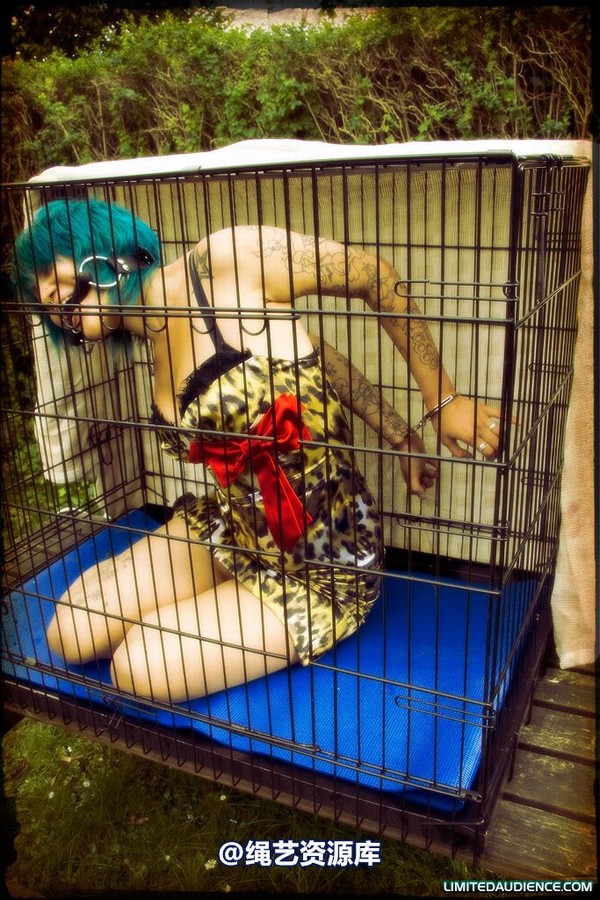 limitedaudience - 2009 b caged animal 第 14 张图片
