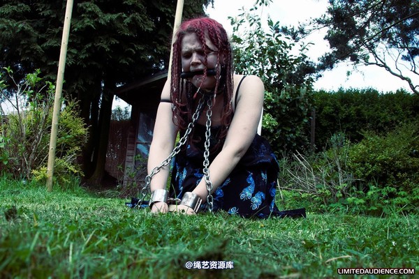 limitedaudience - 2011 beckykat chained and staked 2 第 9 张图片