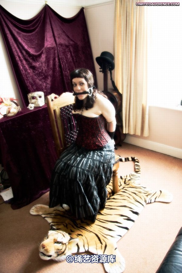 limitedaudience - 2009 catya veriddian fantasies of a lady 2 第 35 张图片