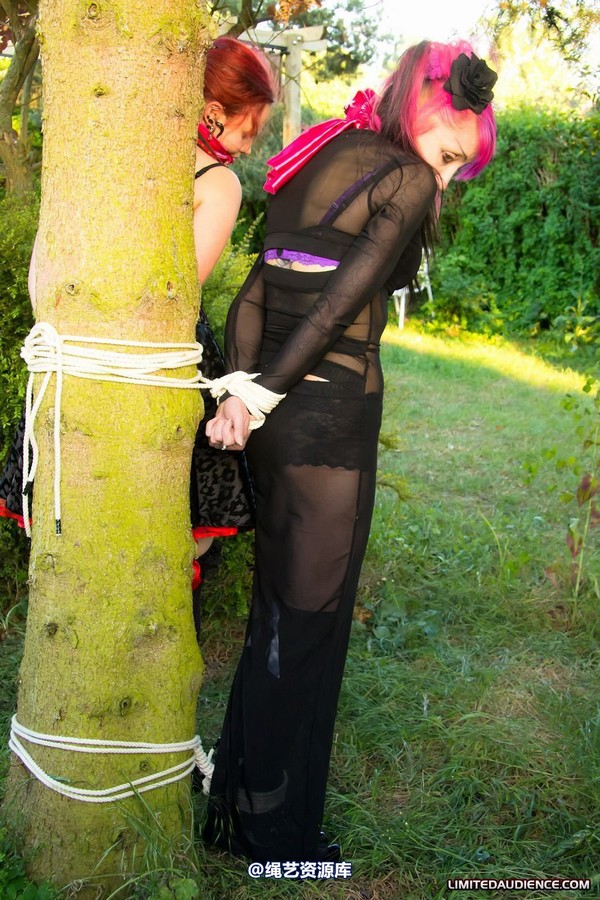 limitedaudience - 2011 beckykat loltaru moored to tree 第 13 张图片