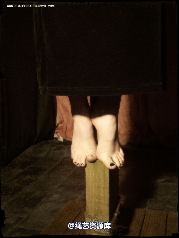 limitedaudience - 2007 ivory tied on tiptoes 第 13 张图片