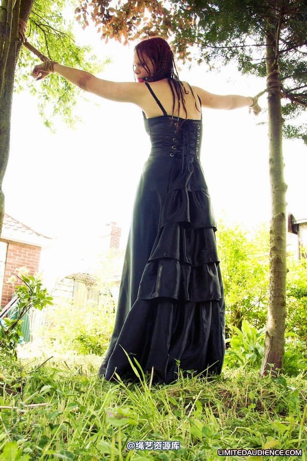limitedaudience - 2011 beckykat between trees 2 第 32 张图片