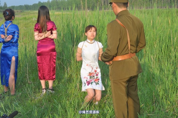 mj影视 - 凤凰烈焰 第 341 张图片
