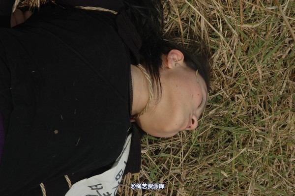 mj影视 - 血泪控诉刑场 第 307 张图片