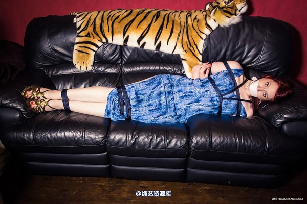 limitedaudience - 2014 syrah lee bound damsel 2 第 15 张图片