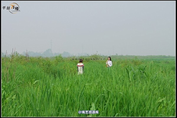 千丝万缕 - 2008-04-06日照片 第 18 张图片