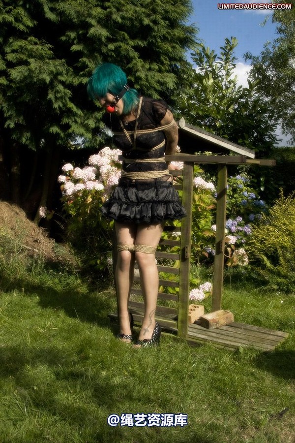 limitedaudience - 2009 b captive pixie 第 13 张图片