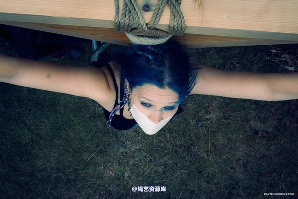 limitedaudience - 2014 beckykat crux suspension 2 第 30 张图片
