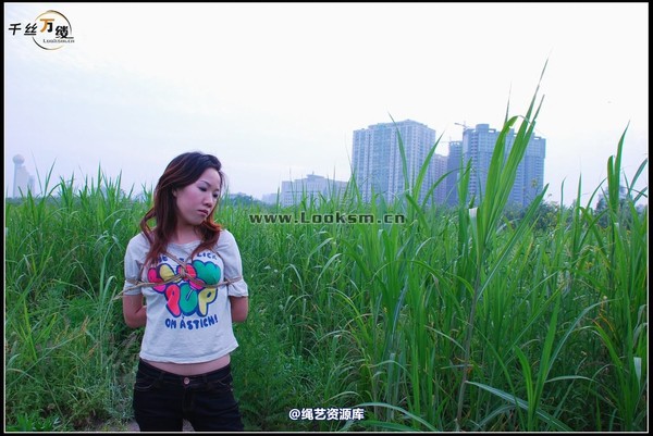 千丝万缕 - 2008-04-29-4日 第 52 张图片