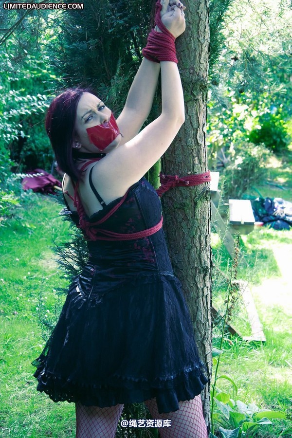 limitedaudience - 2011 carmina and the tree 2 第 3 张图片