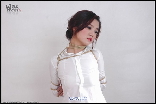唯美之家 - 2008-11-3青竹无花 第 22 张图片