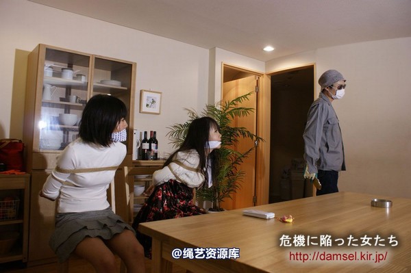 jpdamsel - 20120115 もし泥棒に�uわれたら 第 18 张图片