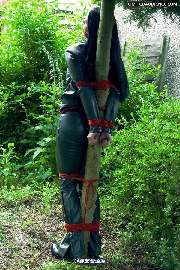 limitedaudience - 2010 rebekka raynor one with the tree 第 19 张图片
