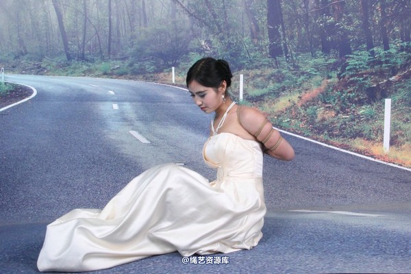 胜景山庄 - 254-盼盼礼服五花 第 32 张图片
