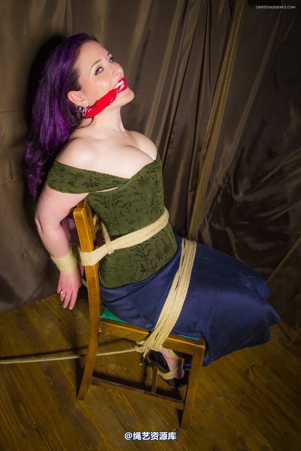 limitedaudience - 2014 caroline pierce captured damsel 第 12 张图片