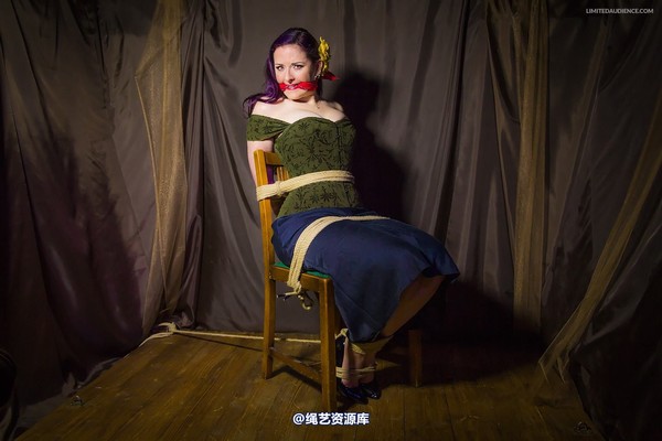 limitedaudience - 2014 caroline pierce captured damsel 2 第 4 张图片