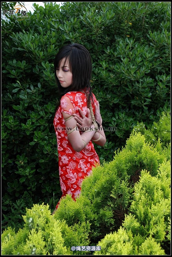 千丝万缕 - 2008-05-07日照片 第 182 张图片