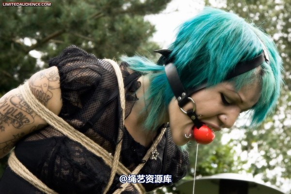 limitedaudience - 2009 b captive pixie 2 第 14 张图片