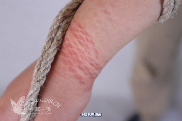 中华一晓 - 中华一晓 NO.0474 第 2 张图片