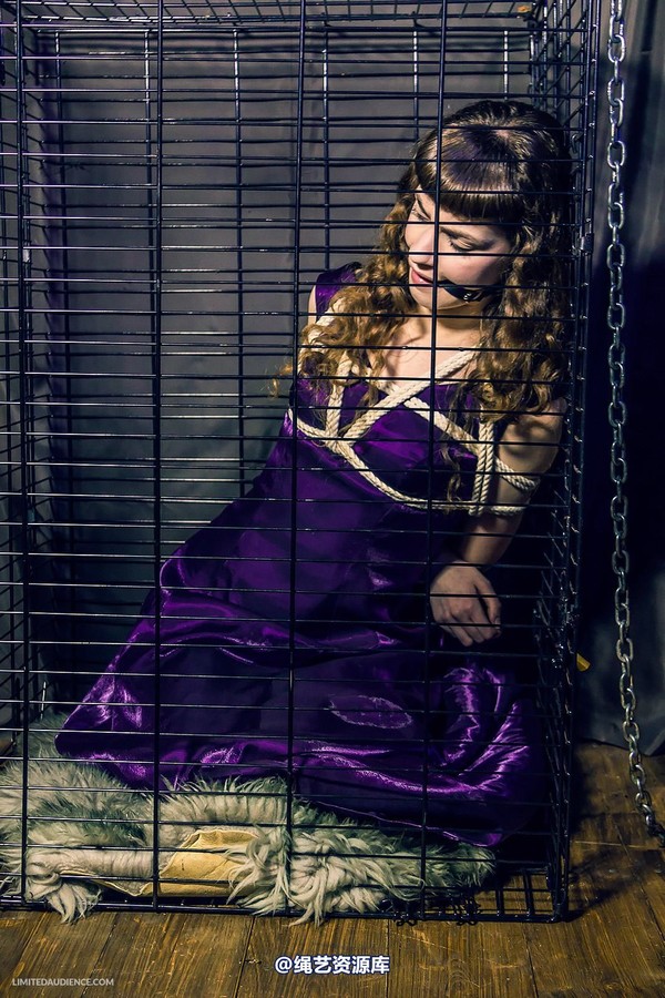 limitedaudience - 2014 fay inside the cage 第 17 张图片