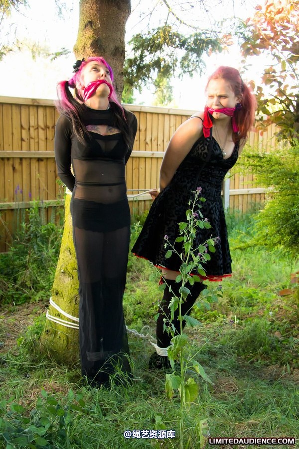 limitedaudience - 2011 beckykat loltaru moored to tree 2 第 30 张图片