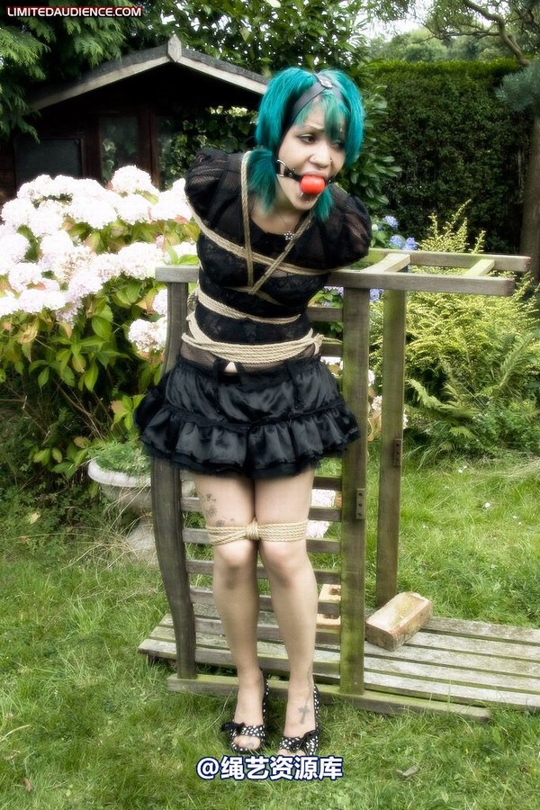 limitedaudience - 2009 b captive pixie 2 第 1 张图片