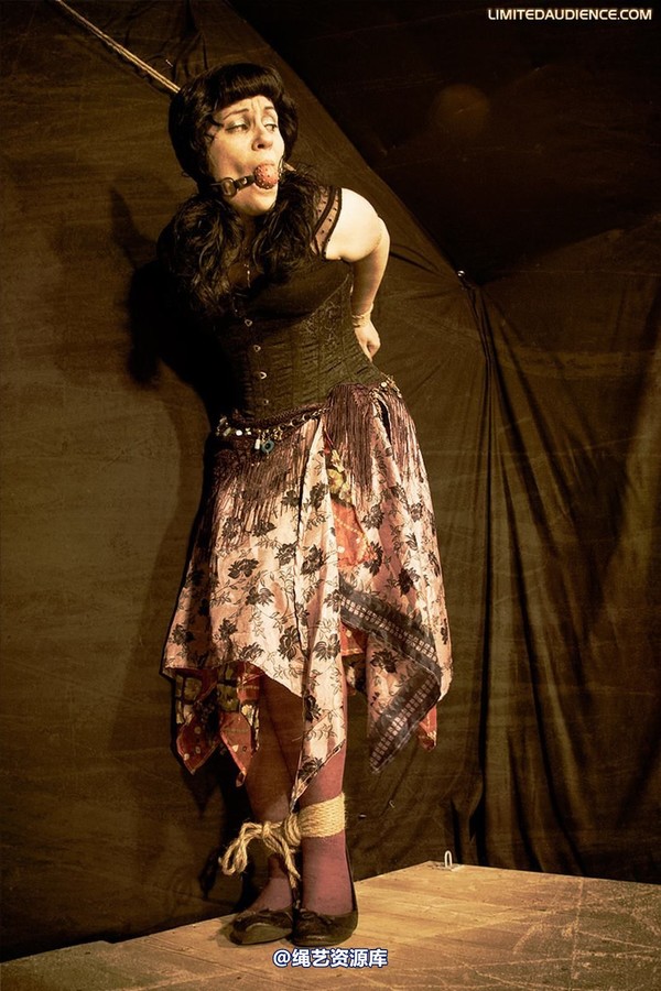 limitedaudience - 2009 veriddian apocalypse captive 第 14 张图片