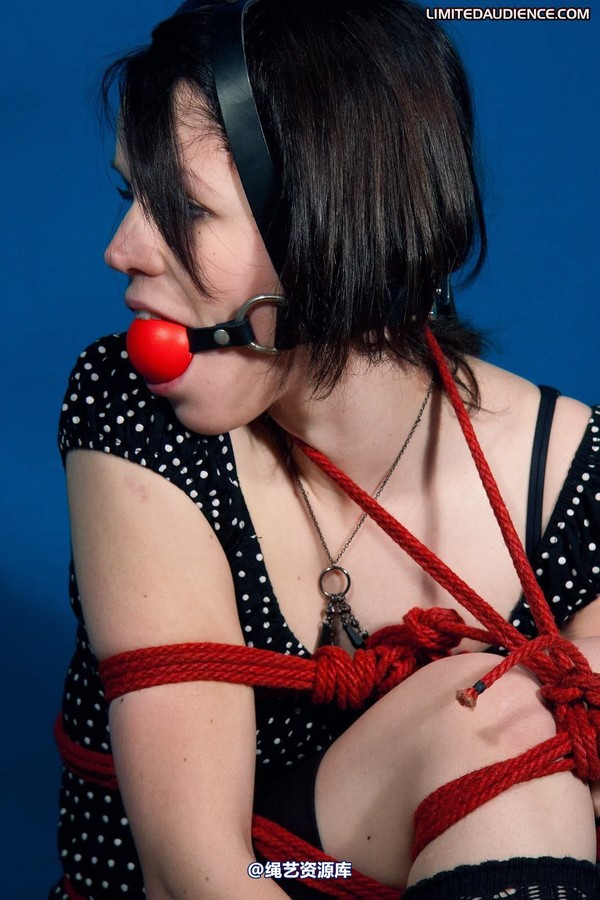 limitedaudience - 2011 luisa parcelled 第 2 张图片