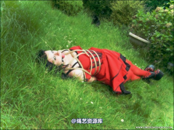 limitedaudience - 2007 asphyxia tied in red 第 45 张图片