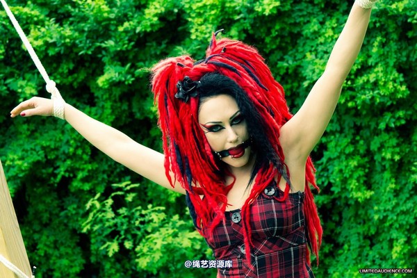 limitedaudience - 2012 andromedax offered up 第 6 张图片