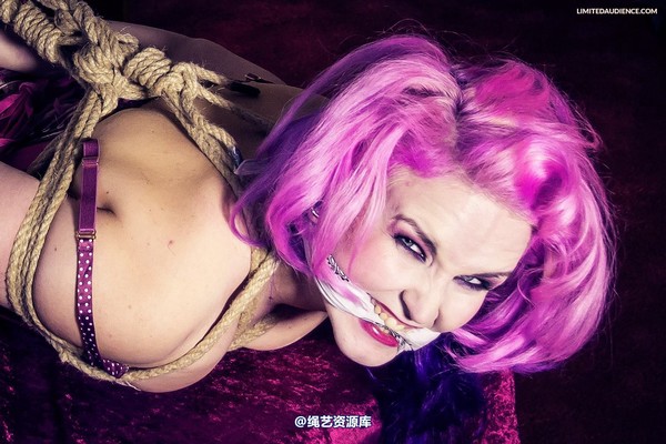limitedaudience - 2013 assisted suicide hogtie centre piece 2 第 10 张图片