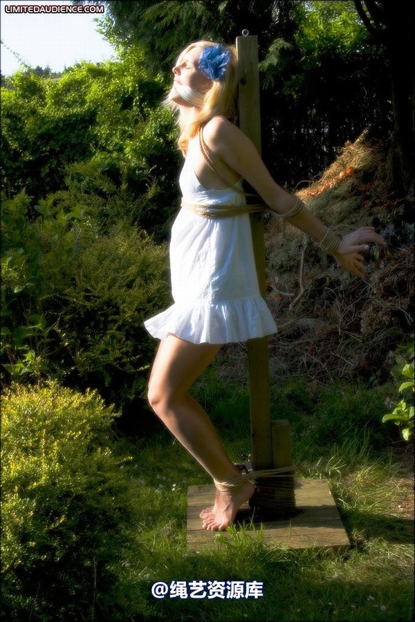 limitedaudience - 2008 ariel tied in the sun 2 第 24 张图片