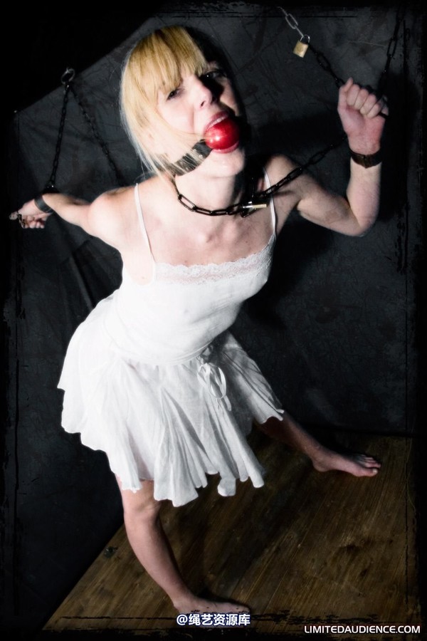 limitedaudience - 2010 ariel the forgotten prisoner 第 4 张图片
