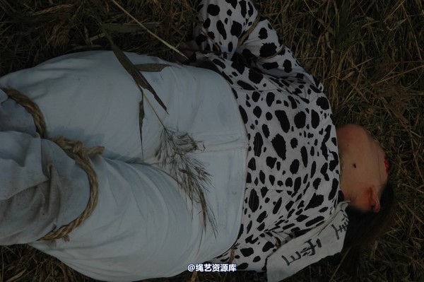 mj影视 - 血泪控诉刑场 第 337 张图片